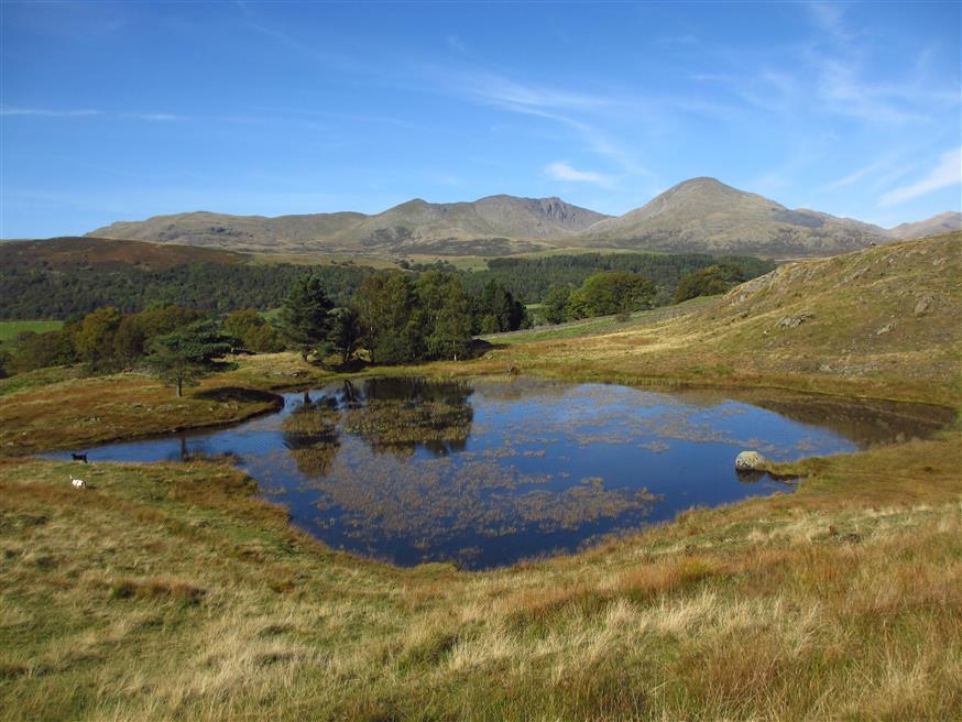 Holme Fell Lake District