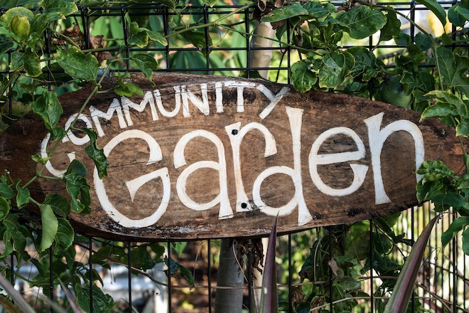 How to Volunteer at a Local Community Garden in London